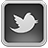 Twitter For Mac Grey Icon